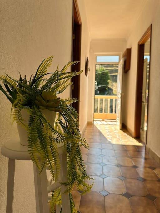 Casa De Sergude Peso da Régua Extérieur photo